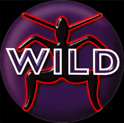 Click Here To Enter The Wild FM WebPage