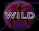 Wild FM